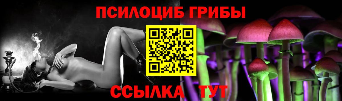 где можно купить наркотик  Вход с VPN  Кушва  Галлюциногенные грибы ЛСД  Псилоцибиновые грибы мицелий 